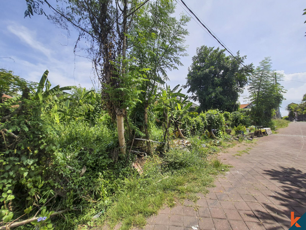 Good investment or residential opportunity land option in Padonan