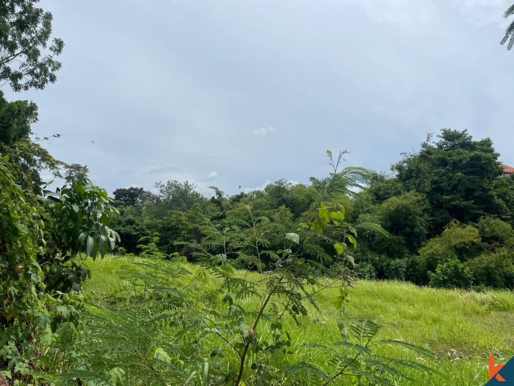 Spacious 21.15 are Land in Pererenan