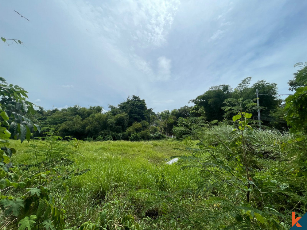 Spacious 21.15 are Land in Pererenan