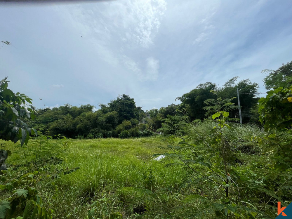 Spacious 21.15 are Land in Pererenan
