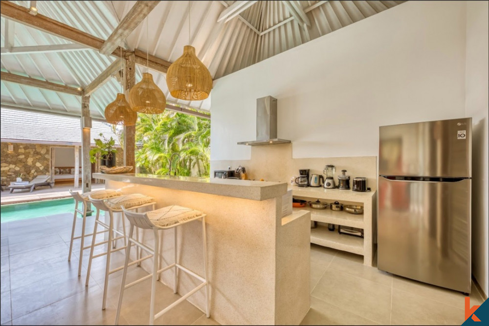 New Stylish Villa for Sale in Seminyak