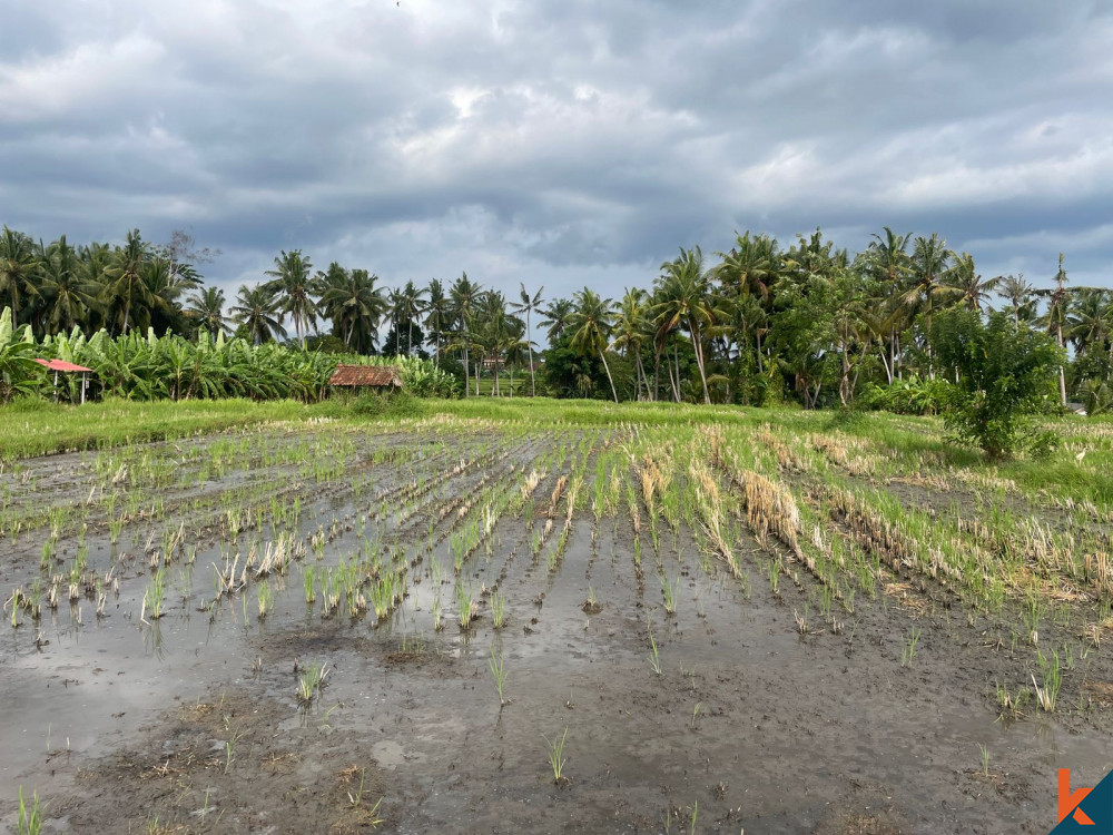 Ubud's Grand 32 Are Land Opportunity