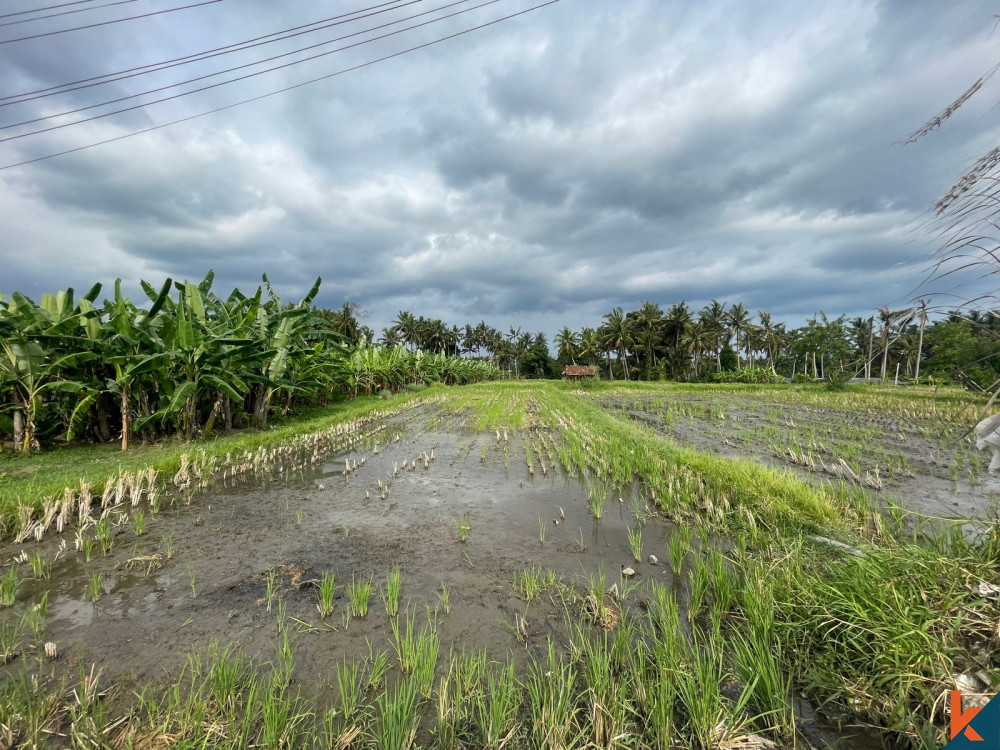 Ubud's Grand 32 Are Land Opportunity