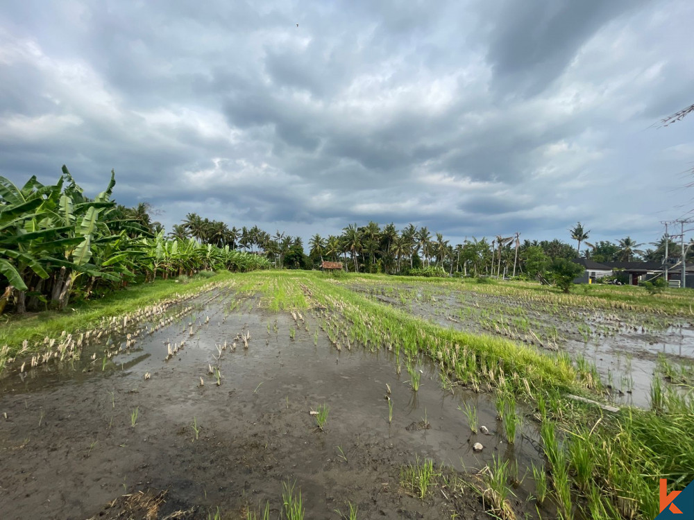 Ubud's Grand 32 Are Land Opportunity