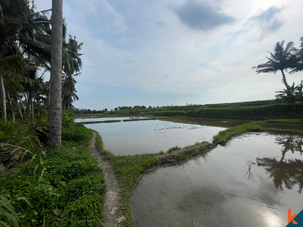 Tanah 42.7 Are di Ubud Dijual