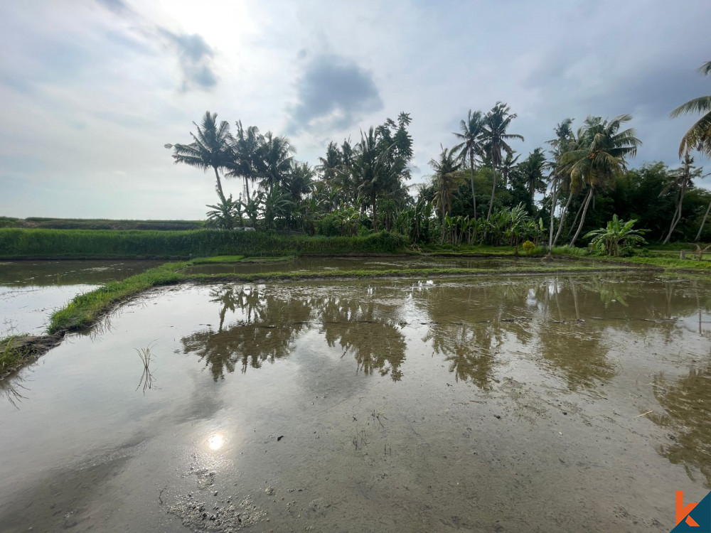 Les 42,7 d'Ubud sont des terrains à vendre