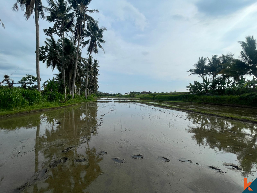 Les 42,7 d'Ubud sont des terrains à vendre