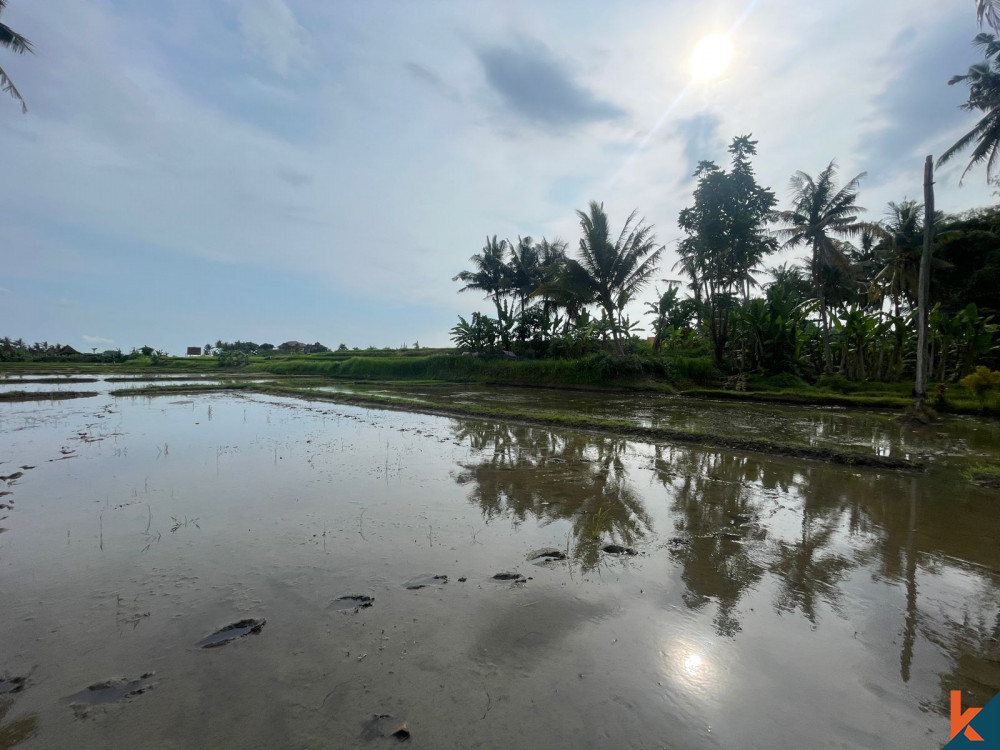 Ubud's 42.7 Are Land For Sale