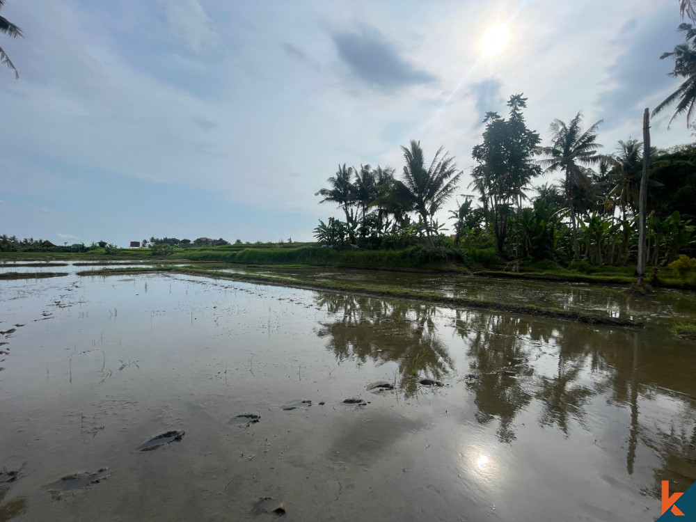 Les 42,7 d'Ubud sont des terrains à vendre