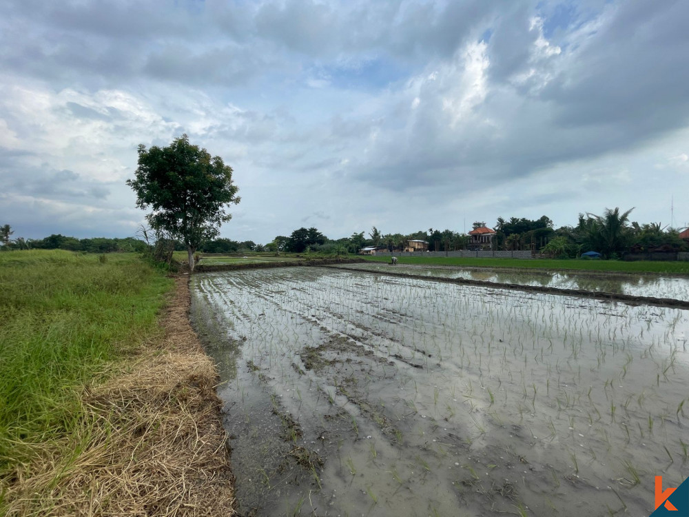 Prime 37 Adalah Peluang Lahan di Buwit yang Tenang