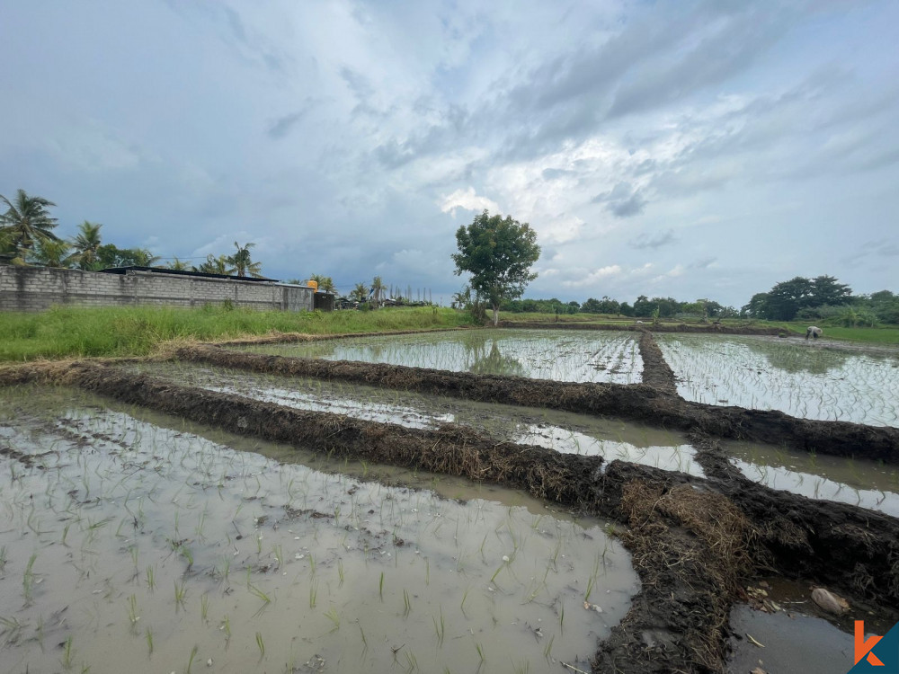 Prime 37 Adalah Peluang Lahan di Buwit yang Tenang