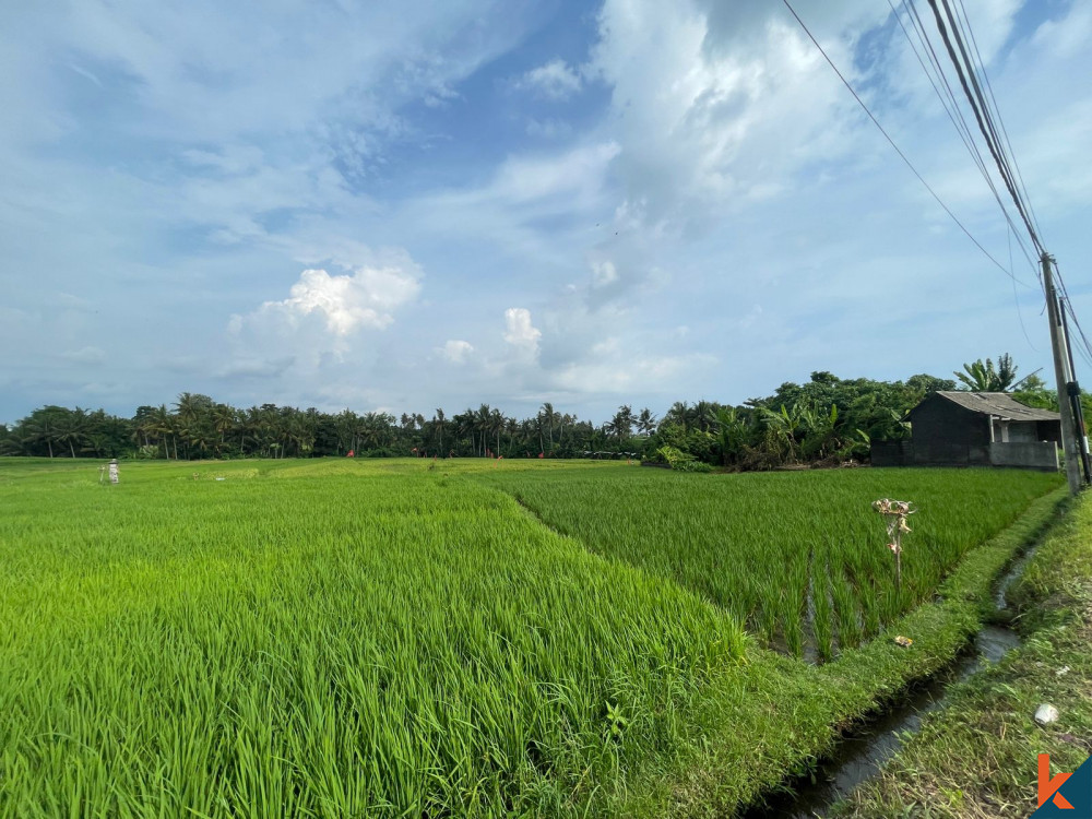 Tenang 7.7 Peluang Lahan di Kedungu