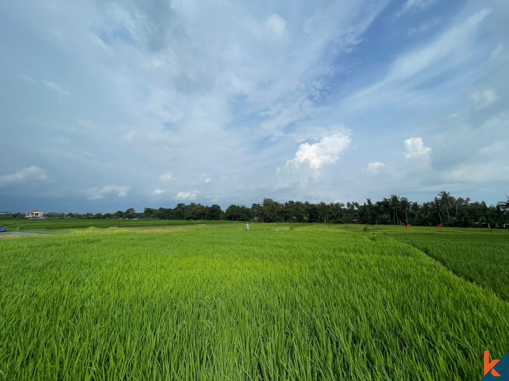 Tenang 7.7 Peluang Lahan di Kedungu