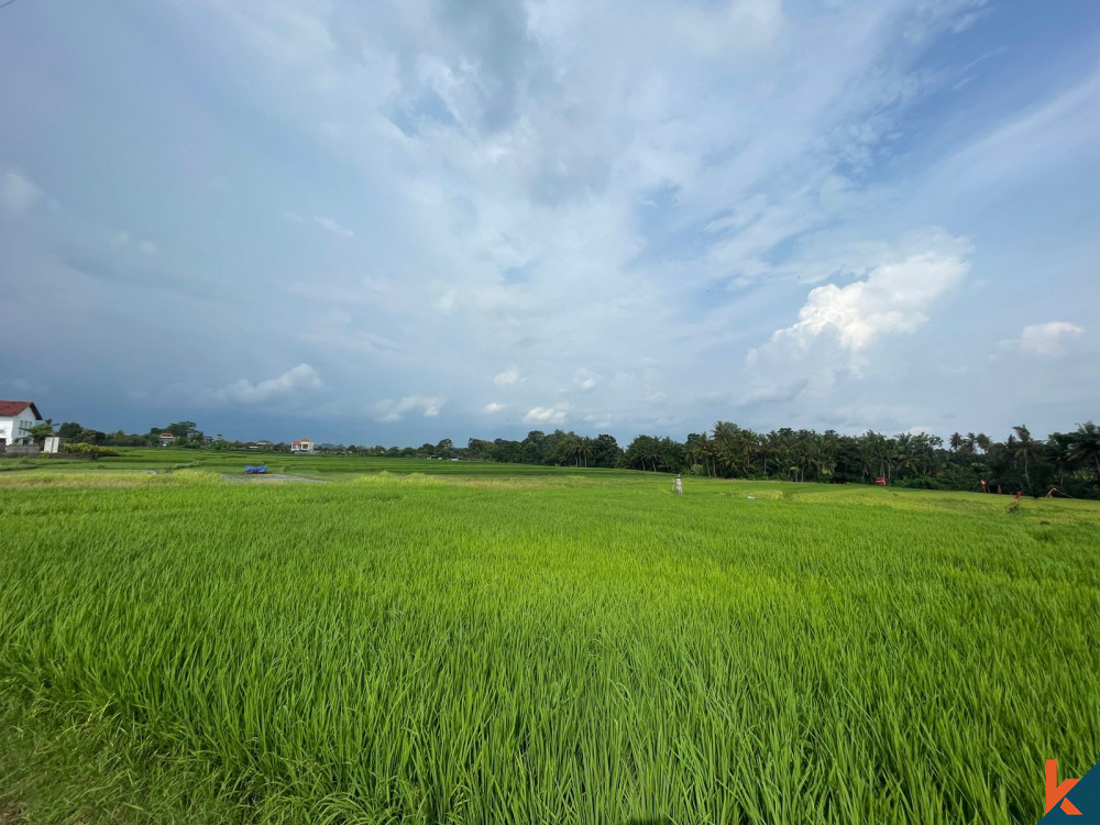 Luxurious Five Bedrooms Freehold Villa for Sale in Canggu