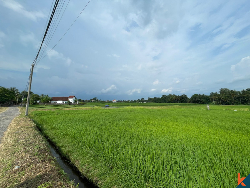 Tenang 7.7 Peluang Lahan di Kedungu