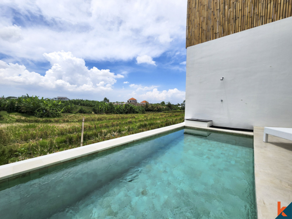 Villa neuve de deux chambres avec vue sur les rizières