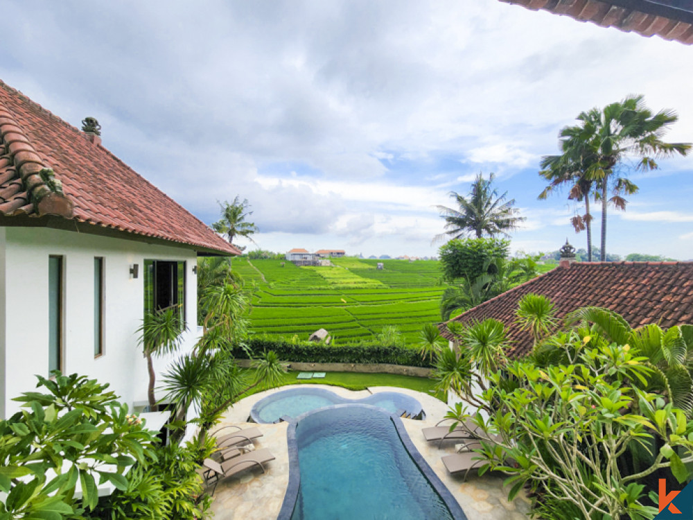 Rumah tradisional tiga kamar tidur yang indah dengan pemandangan sawah