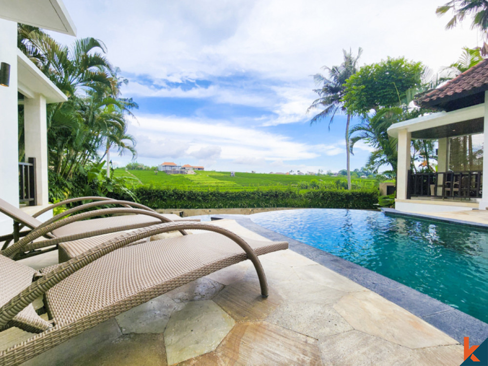 Amazing views three villa resort for lease in Canggu