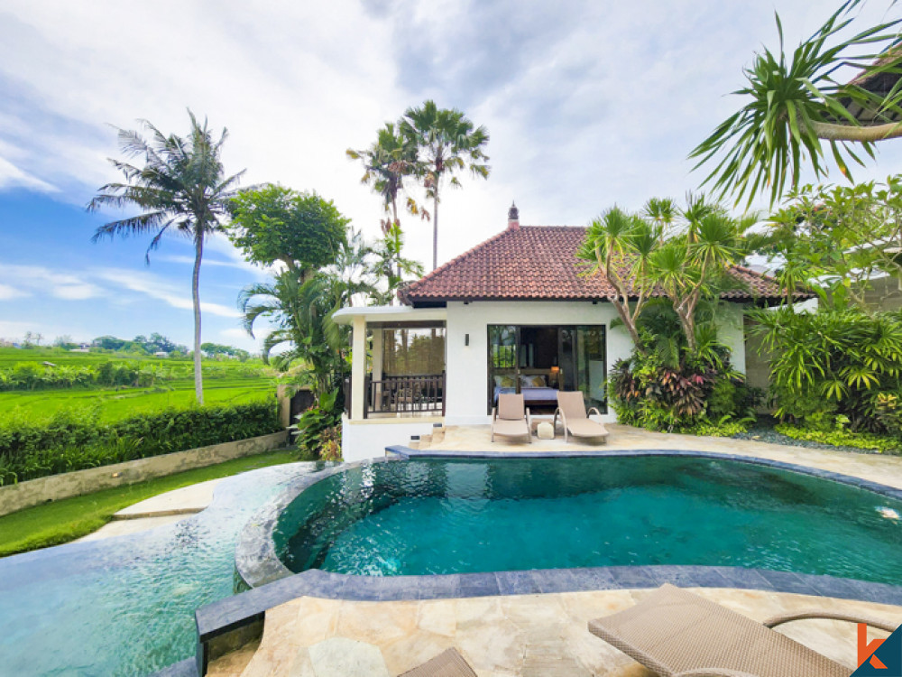 Vue imprenable sur trois villas à louer à Canggu