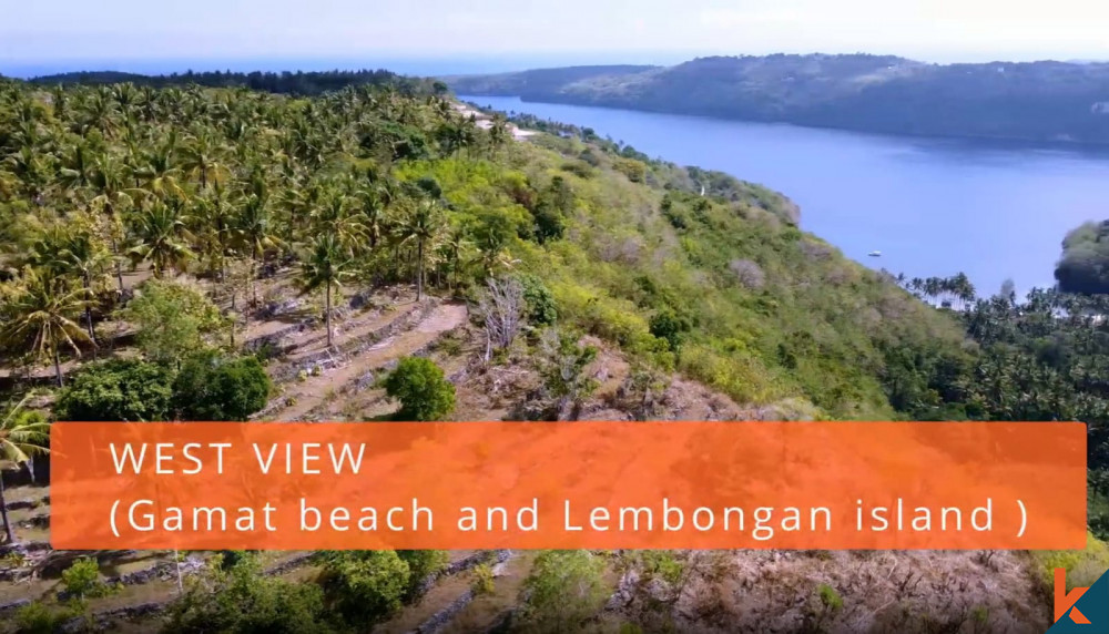 Vaste terrain de 50 ares avec vue sur l'océan à Nusa Penida