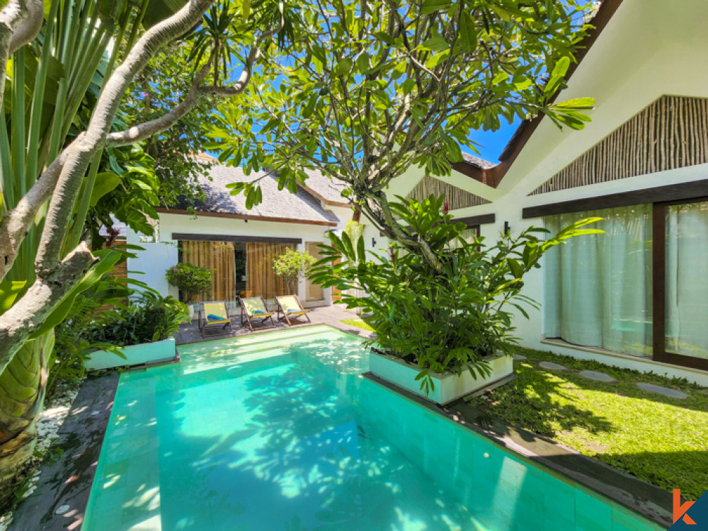 Great investment four bedroom villa in fashionable Canggu
