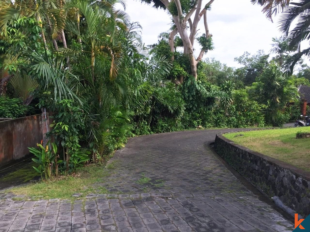 Freehold Land in Pererenan For Sale