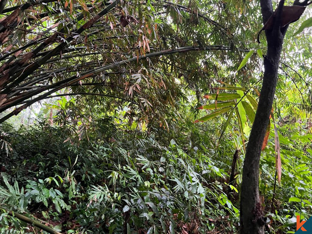 Great 11.58 Are Land for Sale in Tumbak Bayuh
