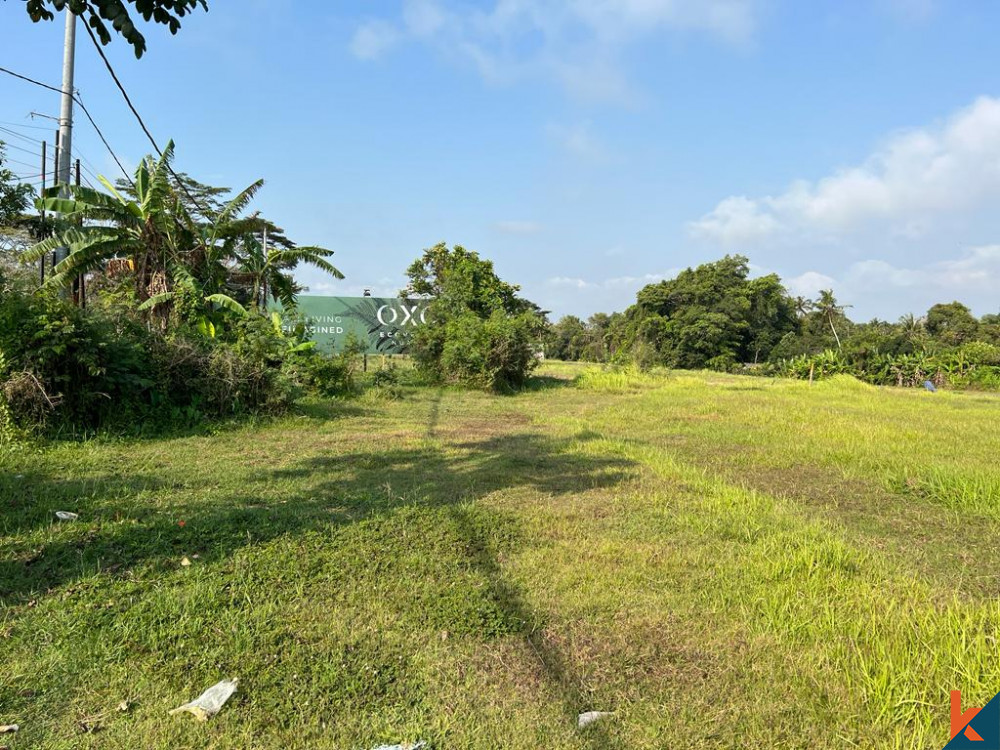 Rare Opportunity of 18 Are Land near Nyayi Beach