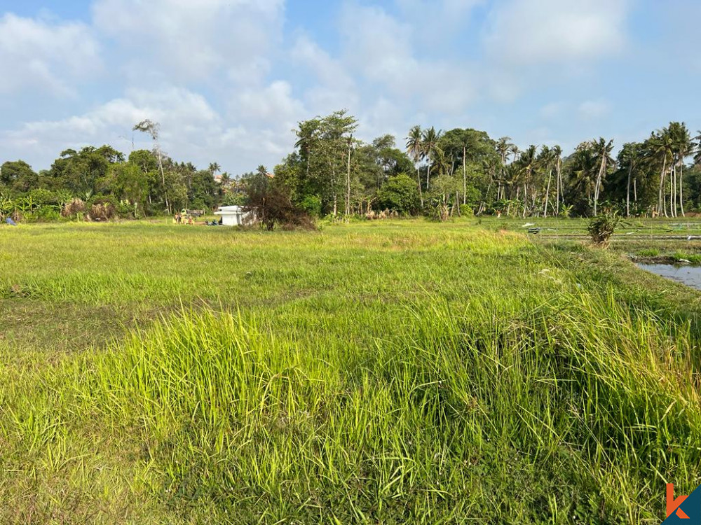 Peluang Langka Tanah 18 Are di Dekat Pantai Nyayi