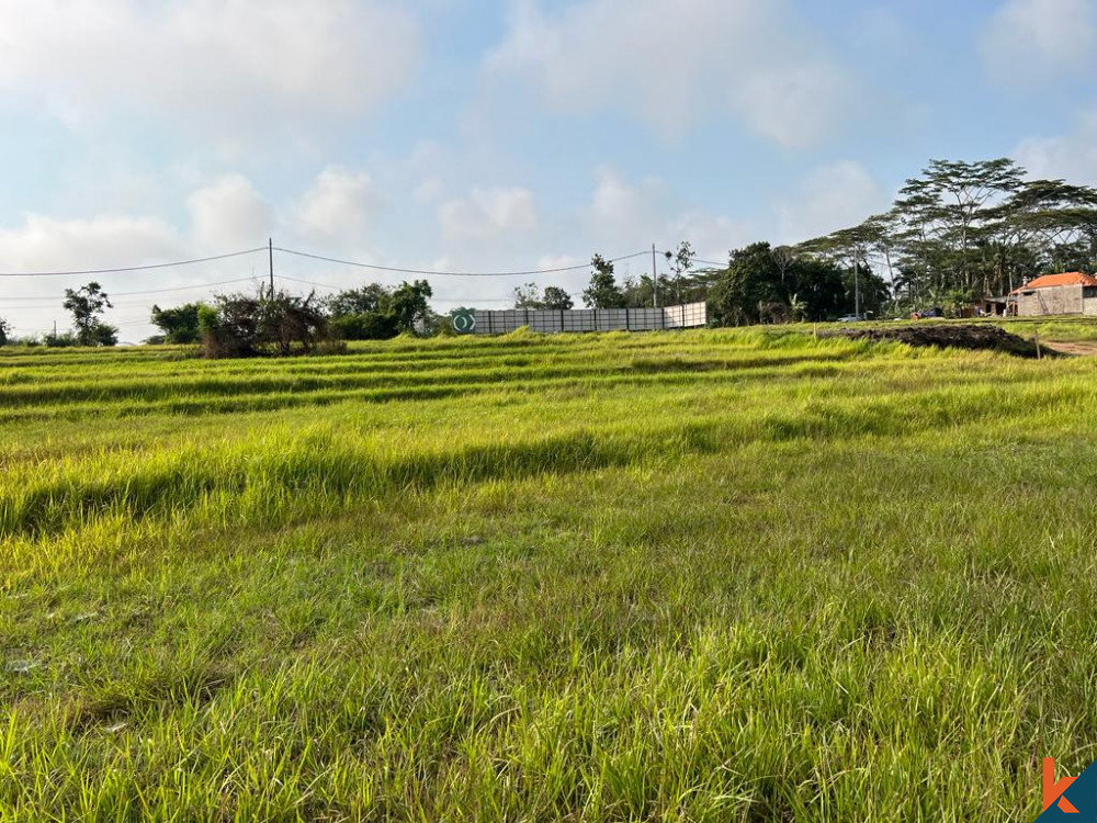 Peluang Langka Tanah 18 Are di Dekat Pantai Nyayi