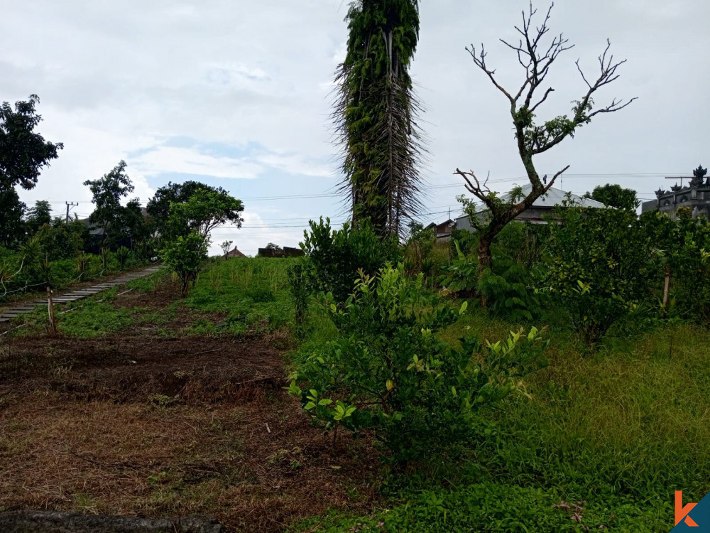 Terrain tranquille de 10 ares à Buleleng