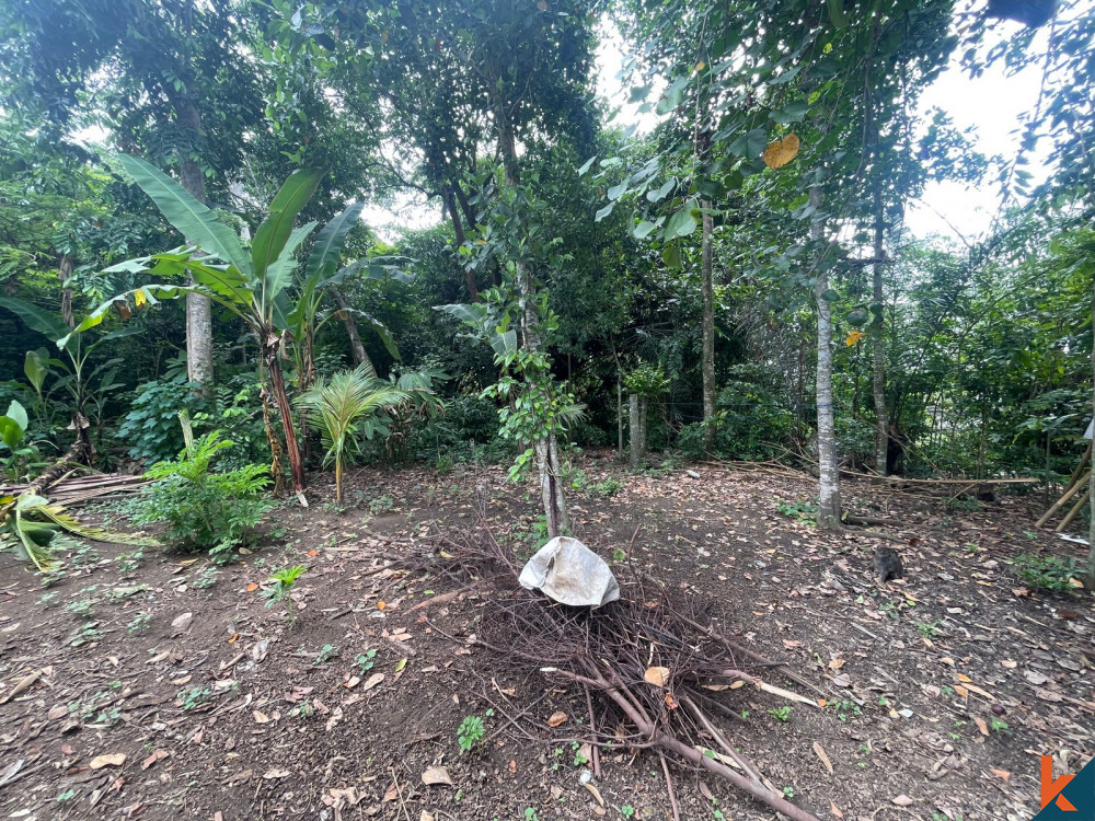 Tanah 4.2 Are Tepi Sungai di Kaba Kaba