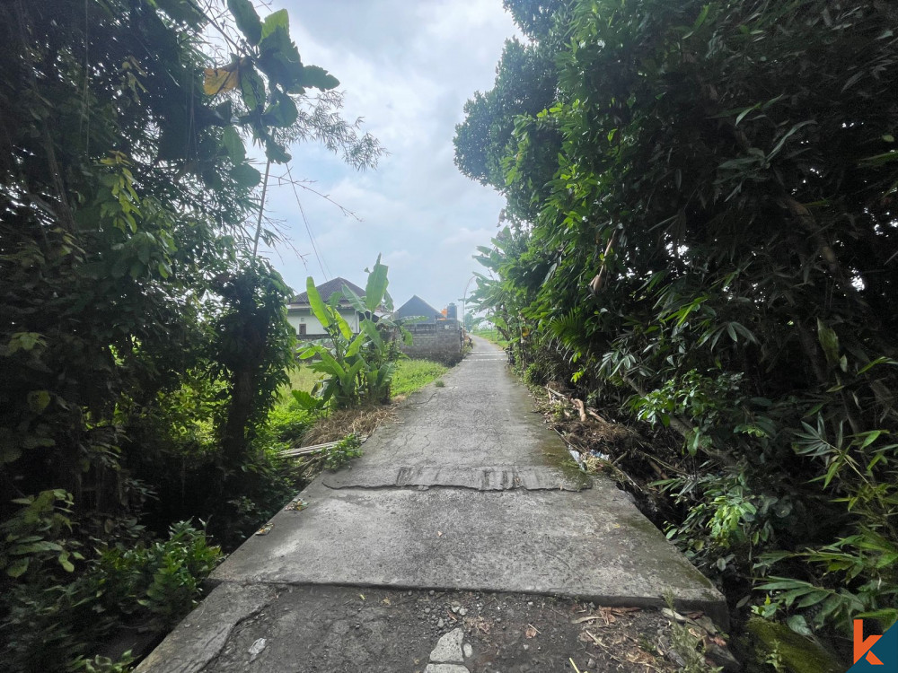 Tanah 4.2 Are Tepi Sungai di Kaba Kaba