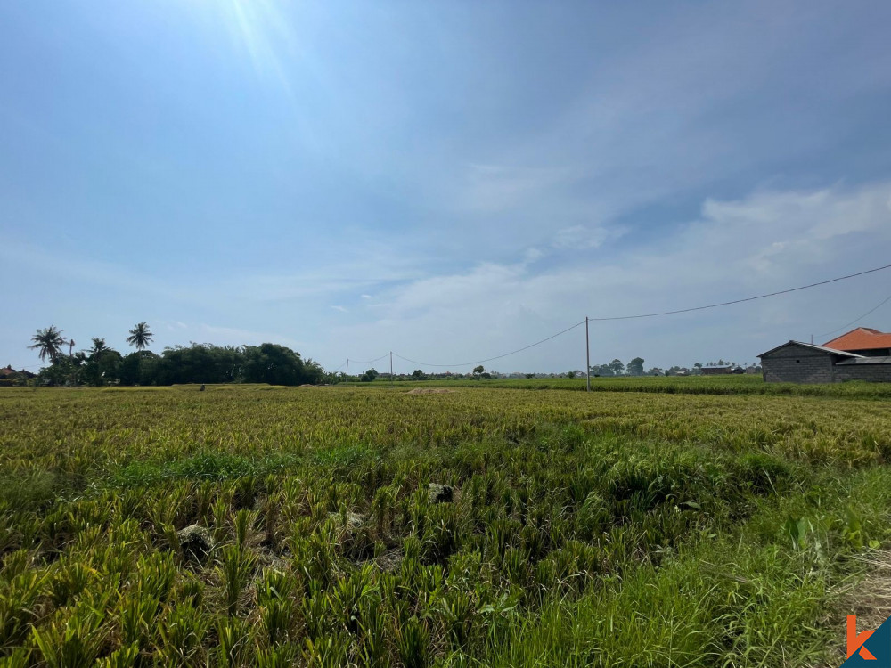 Luxurious Five Bedrooms Freehold Villa for Sale in Canggu