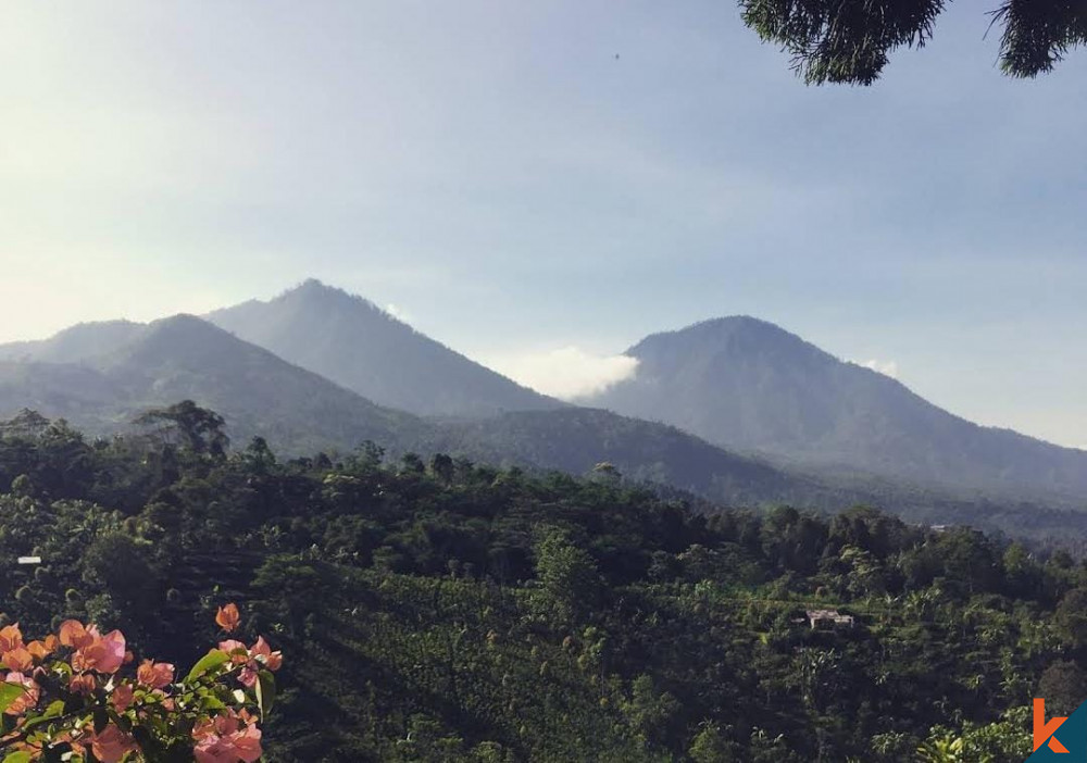 Retret Tenang 27.1 Lahan di Munduk Buleleng