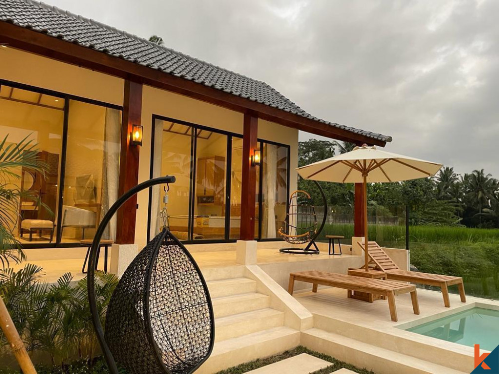 A villa with ricefield view and a swimming pool in Bali