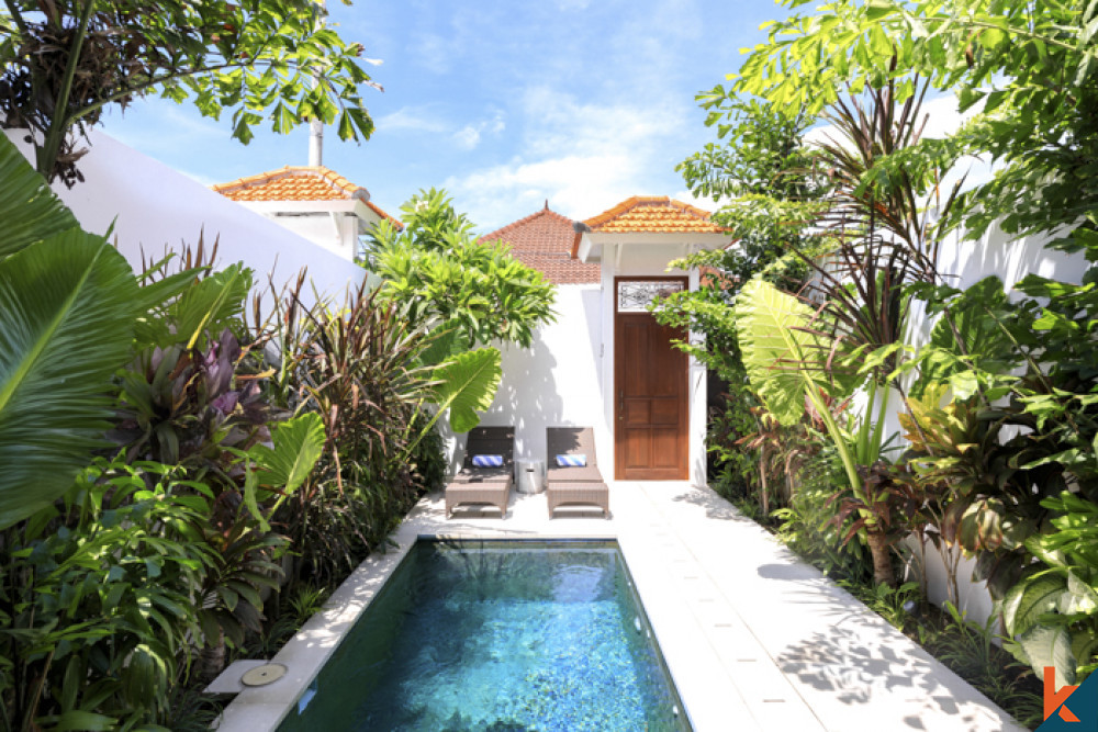 Brand New Investment One Bedroom Villa For Lease in Central Seminyak