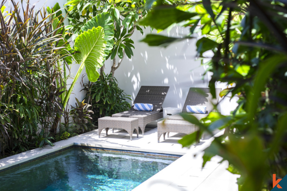 Brand New Investment One Bedroom Villa For Lease in Central Seminyak