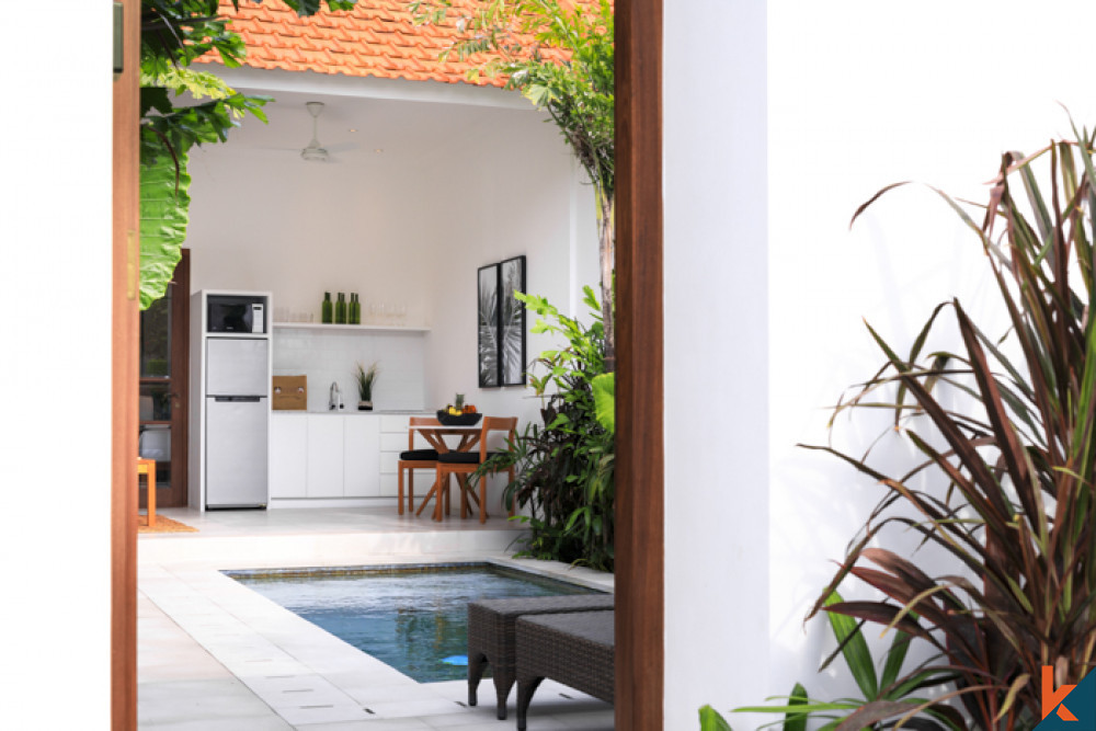 Brand New Investment One Bedroom Villa For Lease in Central Seminyak