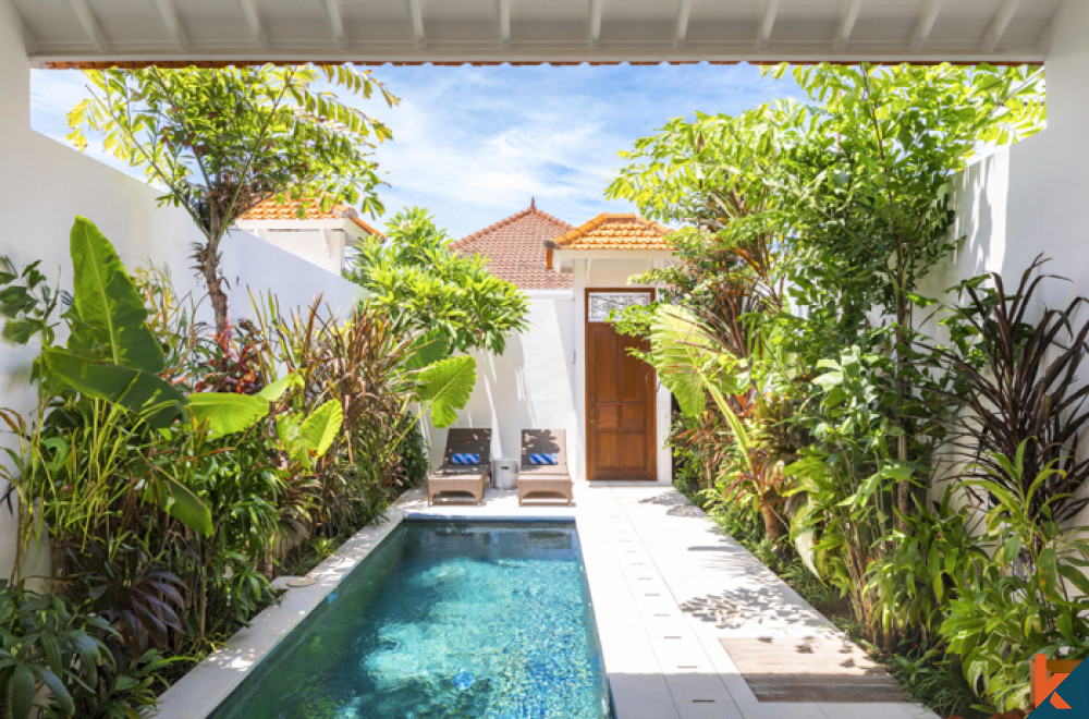 Brand New Investment One Bedroom Villa For Lease in Central Seminyak