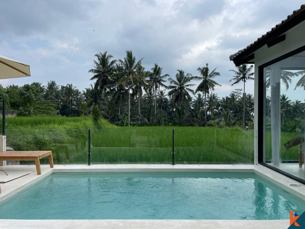 VILLA 2 KAMAR TIDUR YANG MENAKJUBKAN DENGAN PEMANDANGAN SAWAH DI UBUD