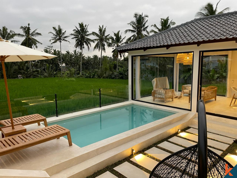 SUPERBE VILLA DE 2 CHAMBRES AVEC VUE SUR LES RIZIÈRES À UBUD