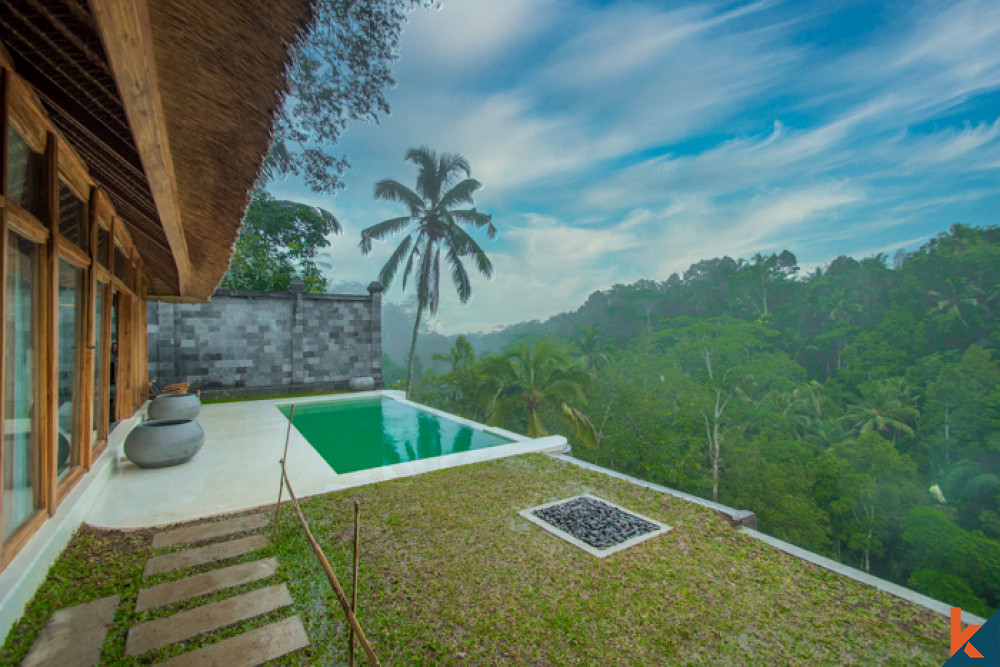 New jungle view mini resort seven villas for lease in Ubud