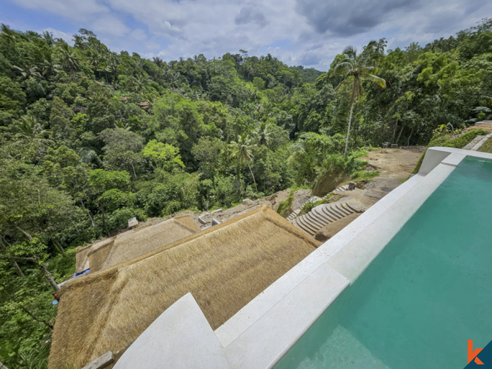 New jungle view mini resort seven villas for lease in Ubud