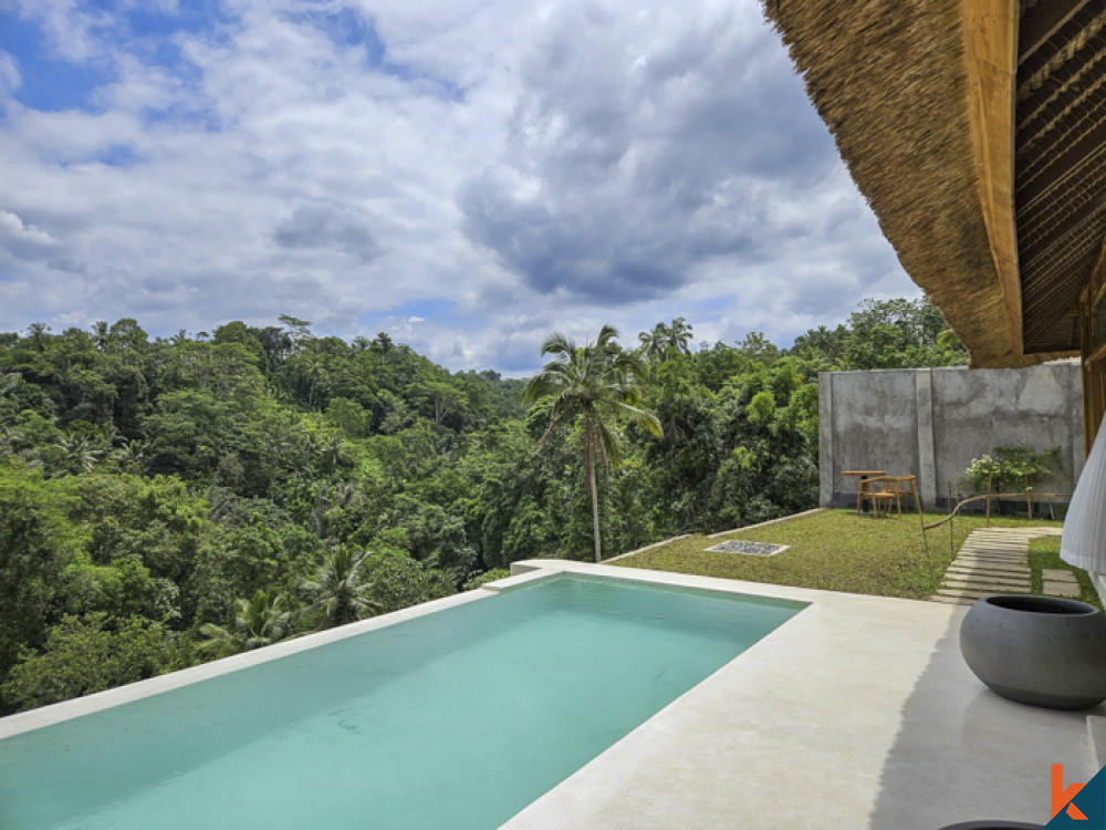 New jungle view mini resort seven villas for lease in Ubud