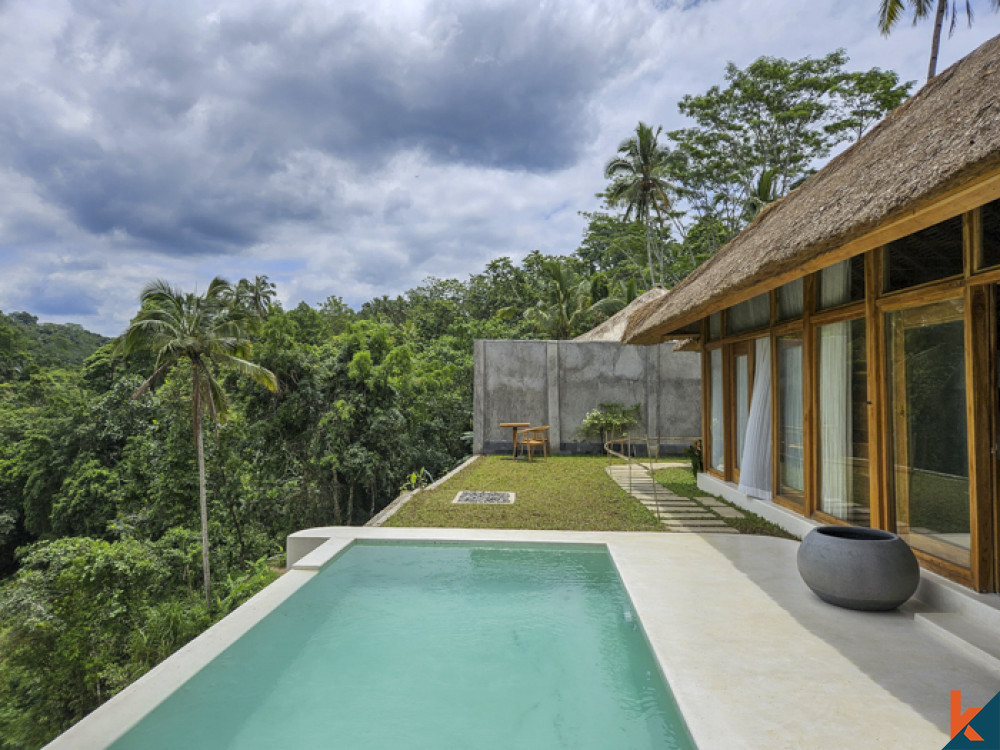 New jungle view mini resort seven villas for lease in Ubud