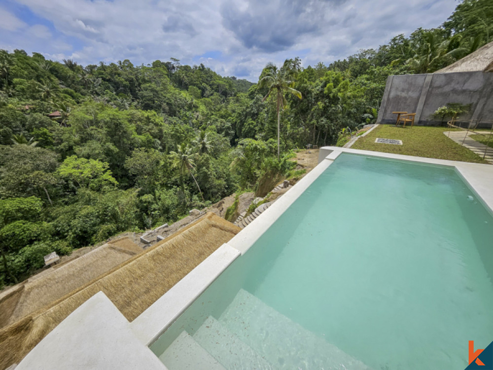 New jungle view mini resort seven villas for lease in Ubud