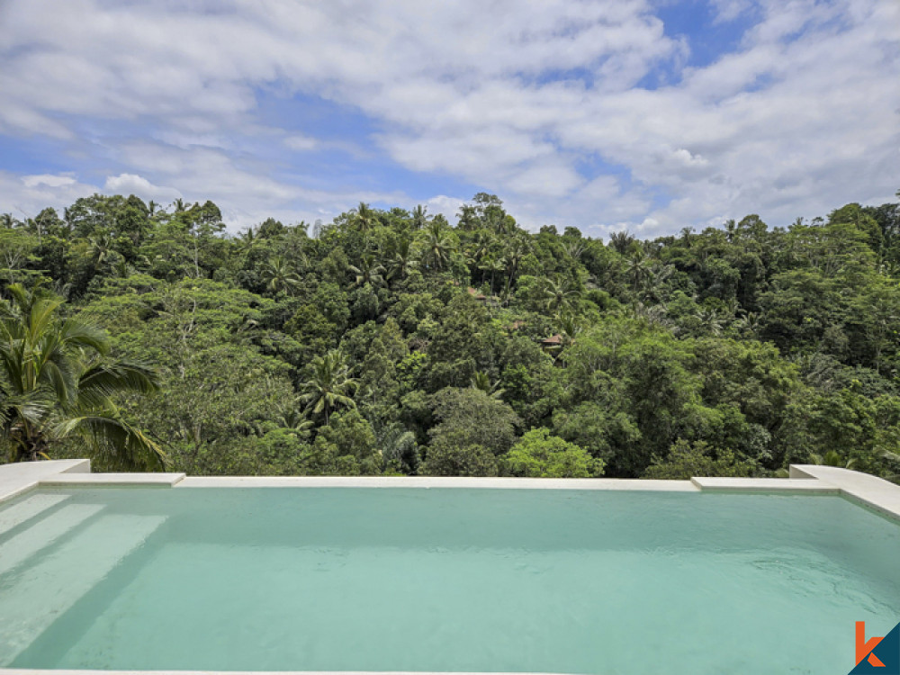 New jungle view mini resort seven villas for lease in Ubud