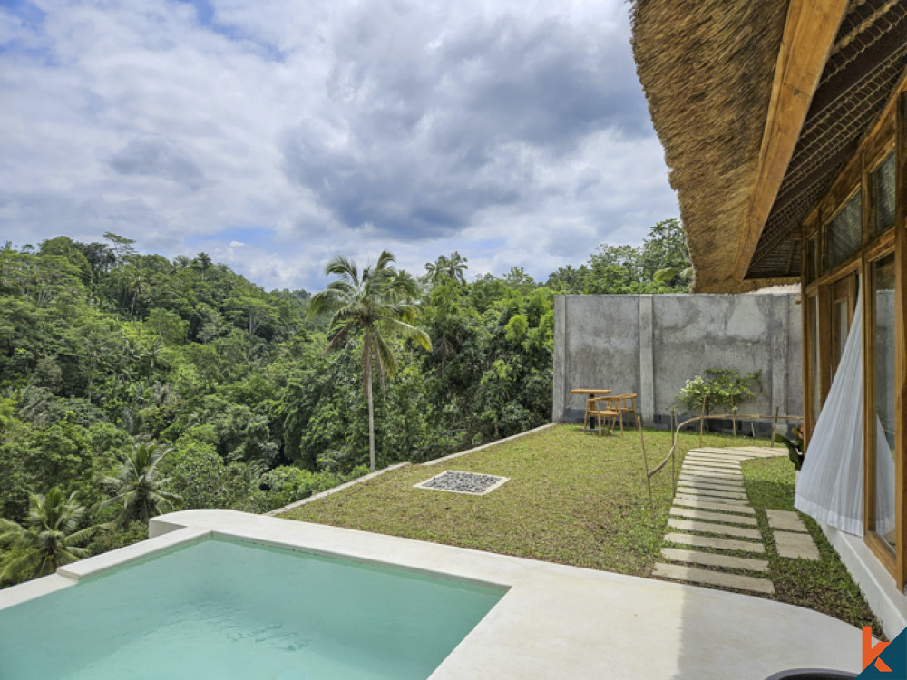 New jungle view mini resort seven villas for lease in Ubud