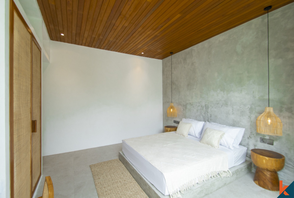 Vila dua kamar tidur baru untuk disewakan di Kerobokan